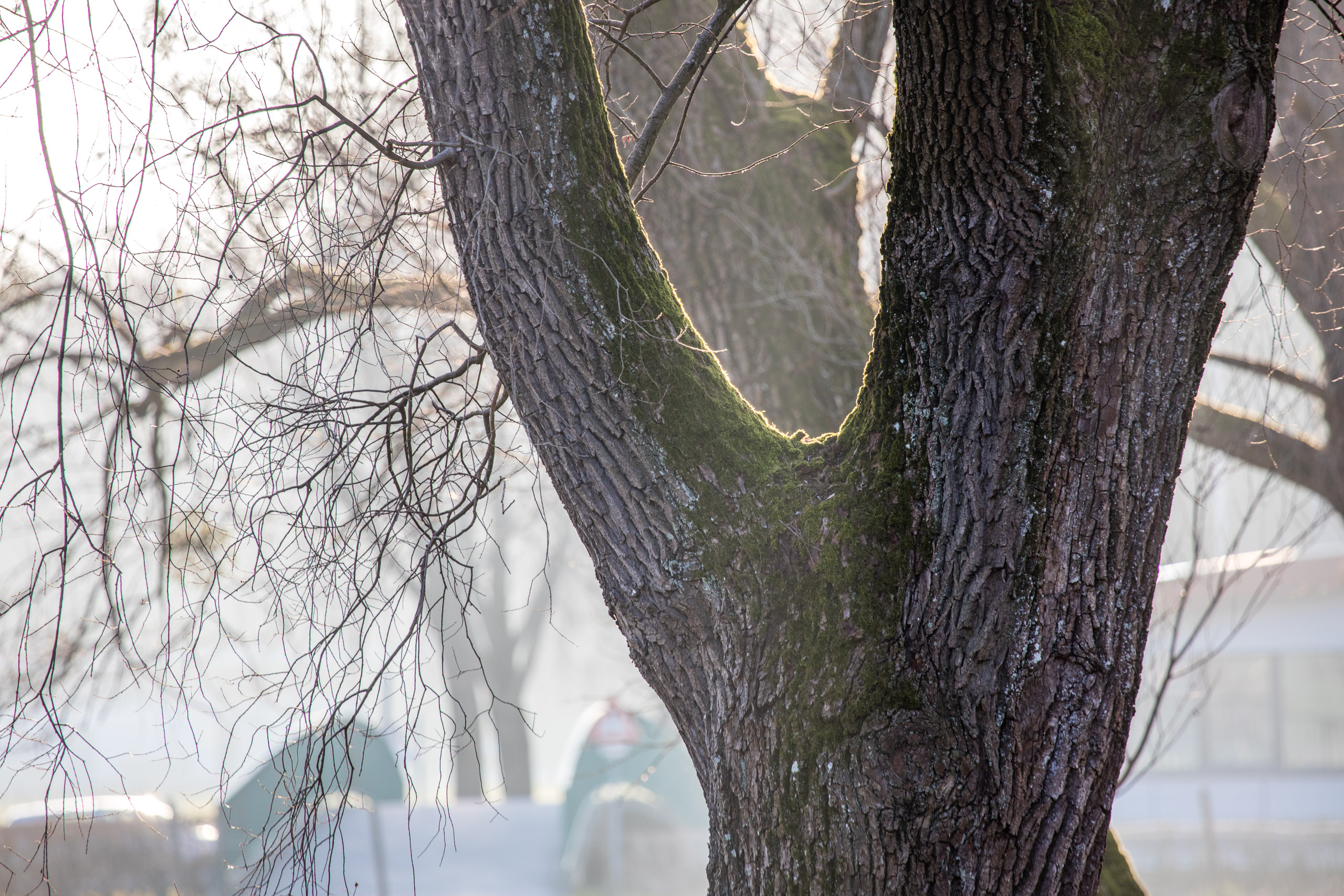 20160319173555 DP017814